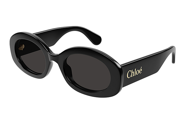 Gafas de visión Chloé CH0258S 001