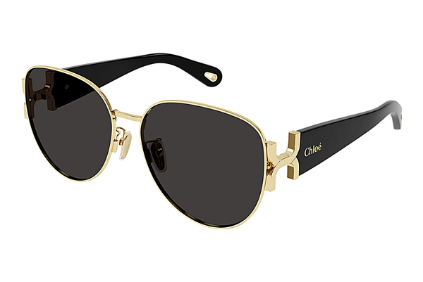 Gafas de visión Chloé CH0261SK 001