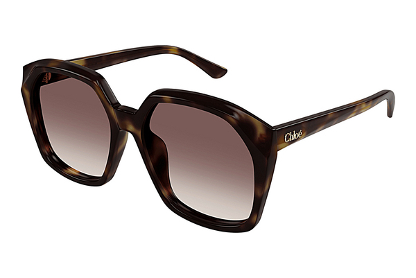 Gafas de visión Chloé CH0280S 006